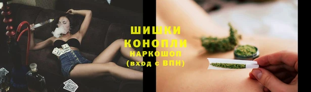 крисы Бугульма