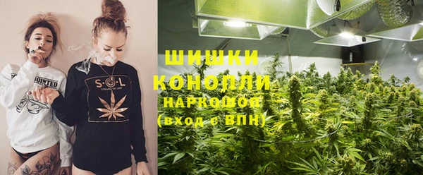 эйфоретик Вяземский