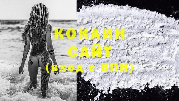 стаф Вязьма