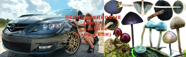 прущая мука Вязники