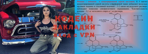 эйфоретик Вяземский